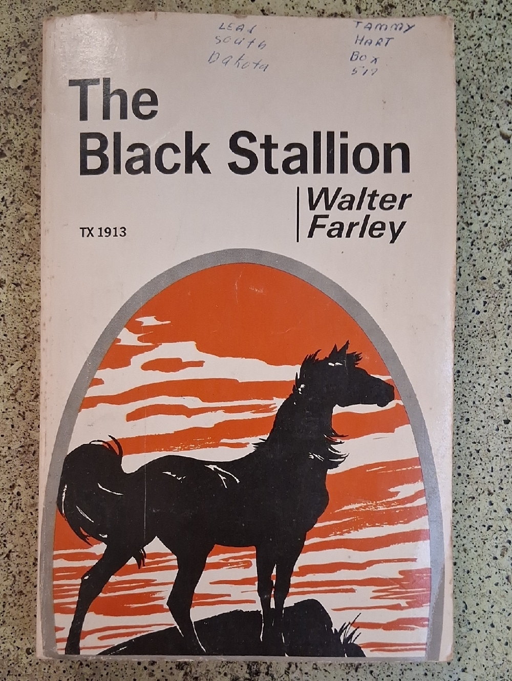 The Black Stallion by Walter Farley Vintage Children's Chapter Book Horses